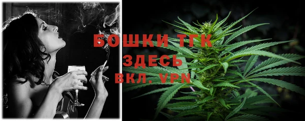 винт Касимов