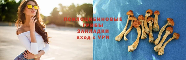 стафф Карталы