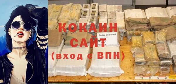 молекула духа Кинешма