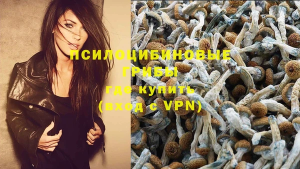 дмт Карпинск