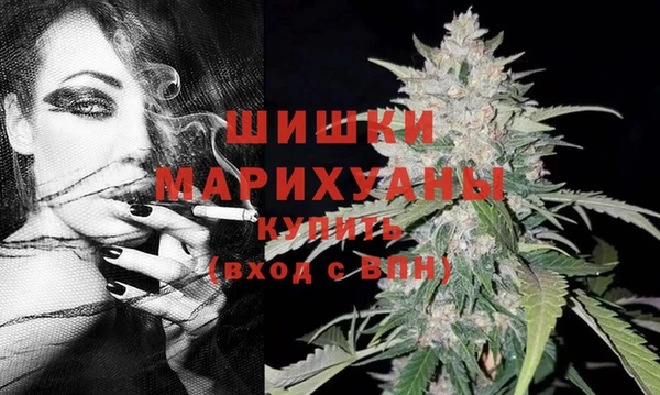 винт Касимов