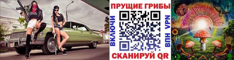 Купить закладки  Междуреченск  Галлюциногенные грибы MAGIC MUSHROOMS 